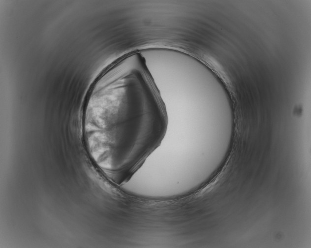 X0000091920892200709261640