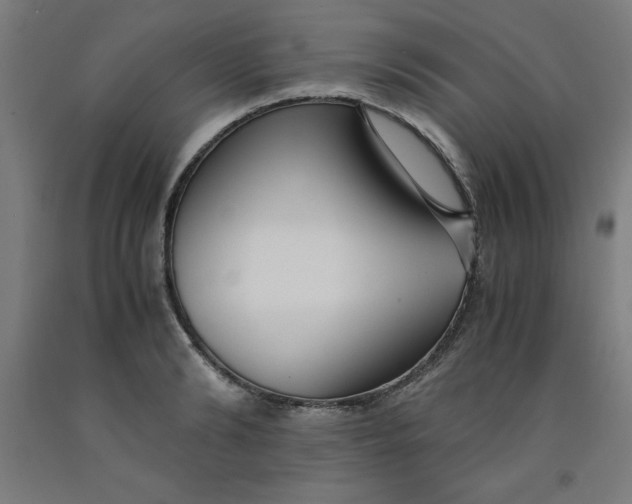 X0000091920894200709261640