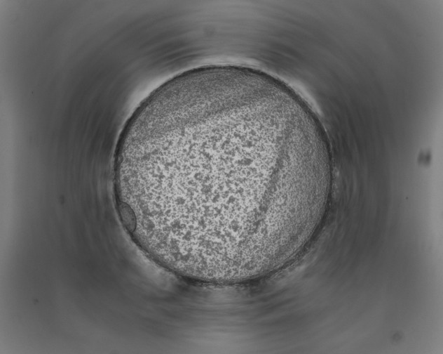 X0000091920895200709261640