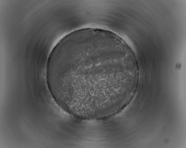 X0000091920896200709261640