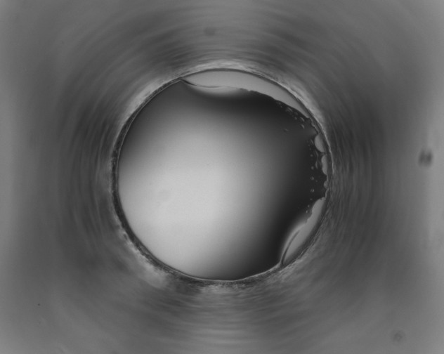 X0000091920898200709261640