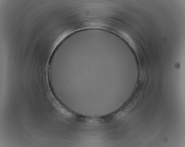 X0000091920899200709261640