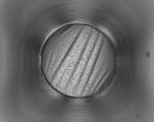 X0000091920900200709261640