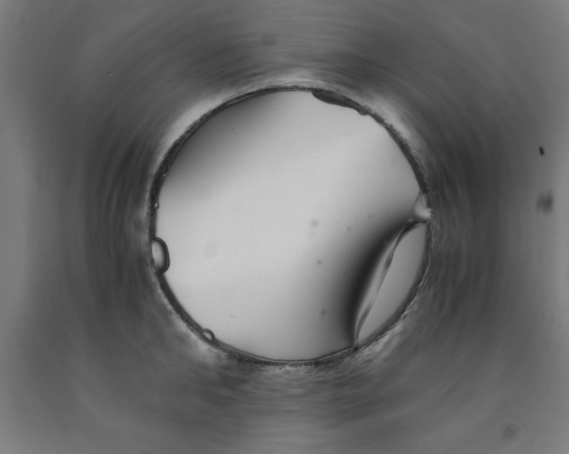 X0000091920902200709261640