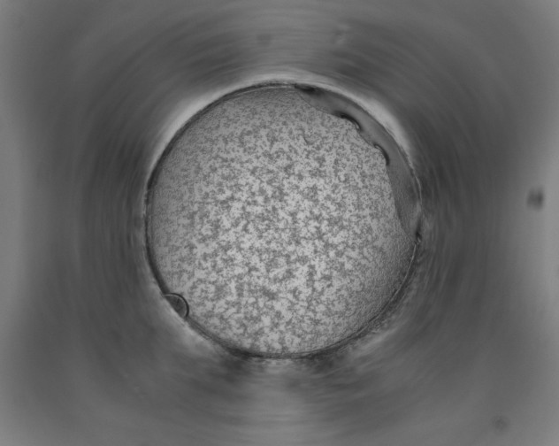 X0000091920903200709261640