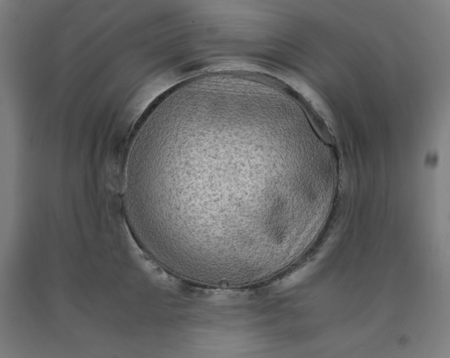 X0000091920905200709261640