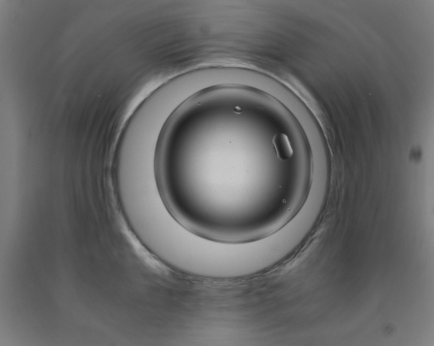 X0000091920909200709261640