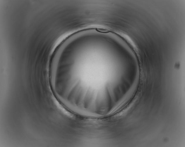 X0000091920910200709261639