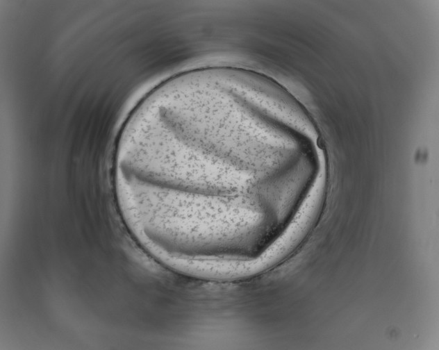 X0000091920912200709261639