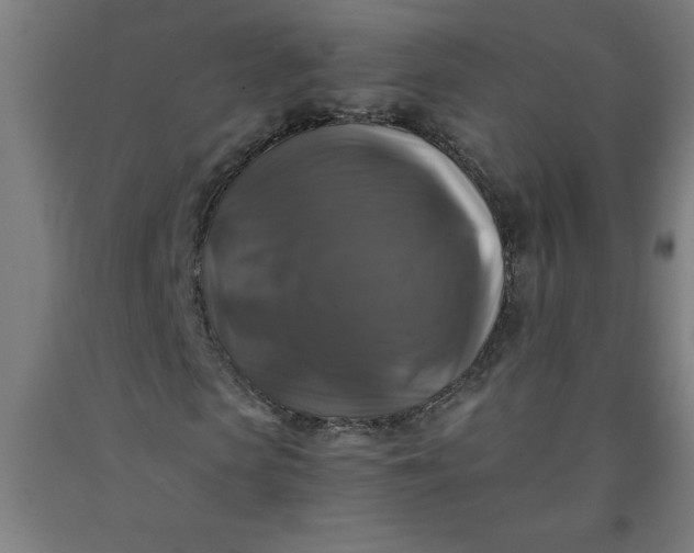 X0000091920913200709261639