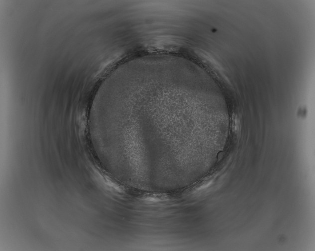 X0000091920915200709261639