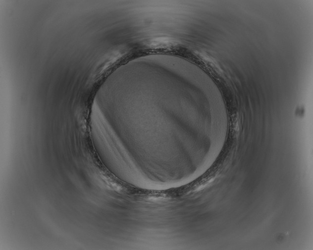 X0000091920916200709261639