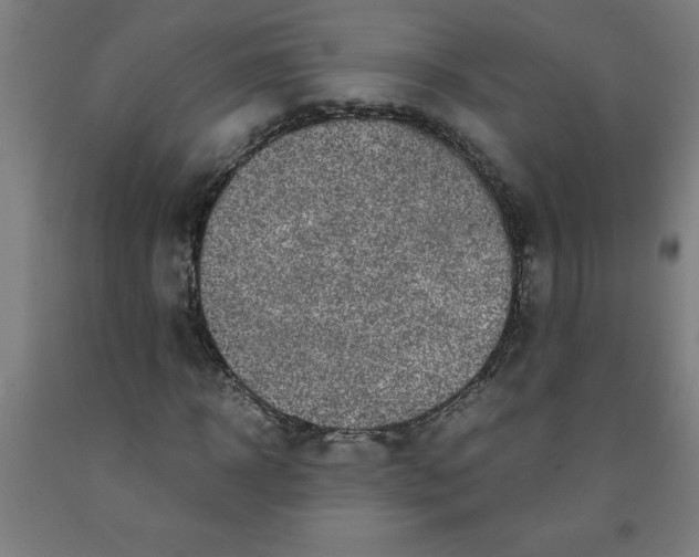 X0000091920918200709261639