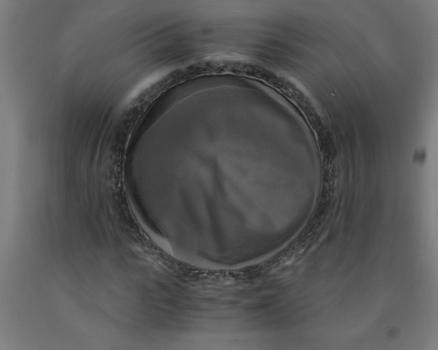 X0000091920919200709261639