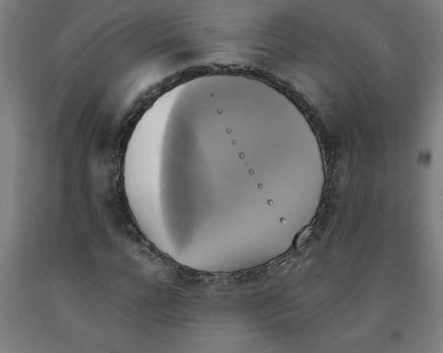 X0000091920920200709261639