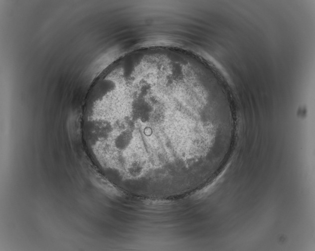 X0000091920921200709261639