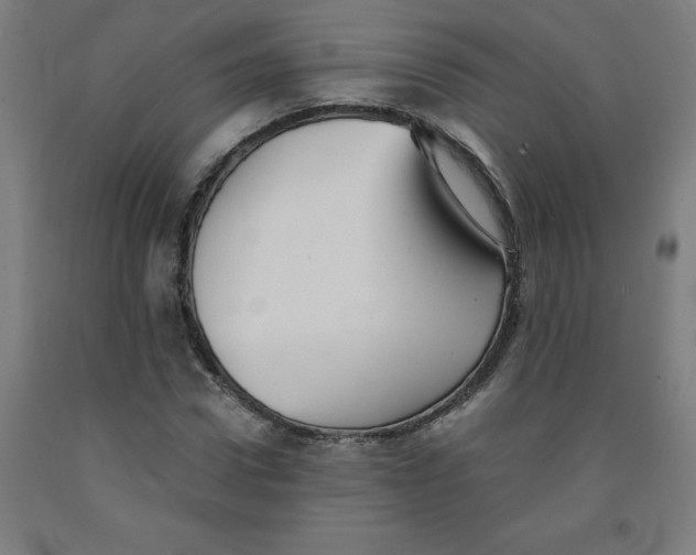 X0000091920922200709261639