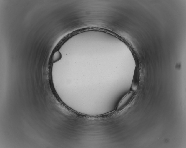 X0000091920924200709261639