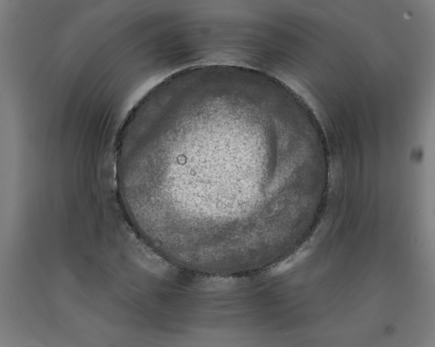 X0000091920925200709261639