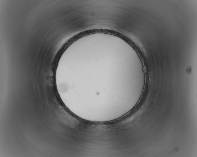 X0000091920926200709261639