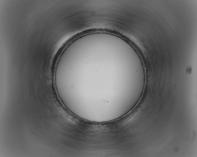 X0000091920927200709261639