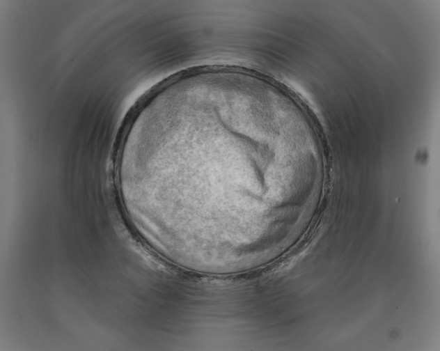 X0000091920928200709261639