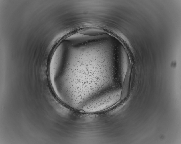 X0000091920930200709261639