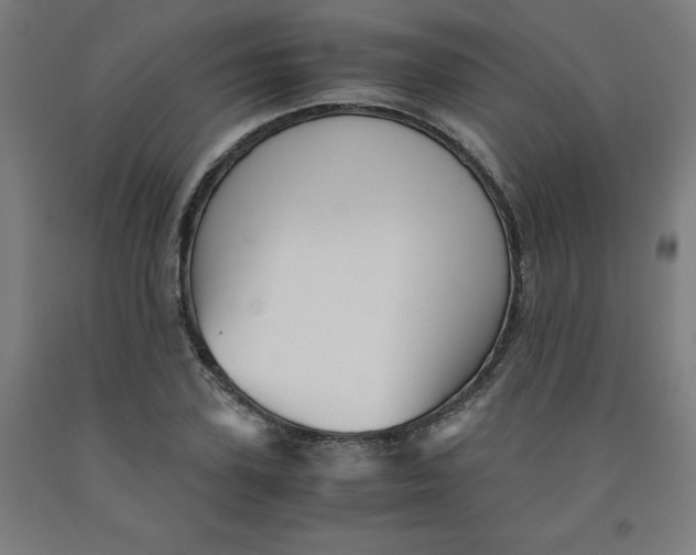 X0000091920931200709261639