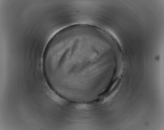 X0000091920932200709261639