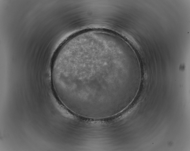 X0000091920934200709261639