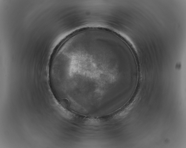 X0000091920935200709261639