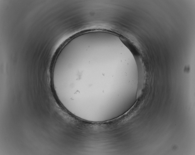 X0000091920936200709261639