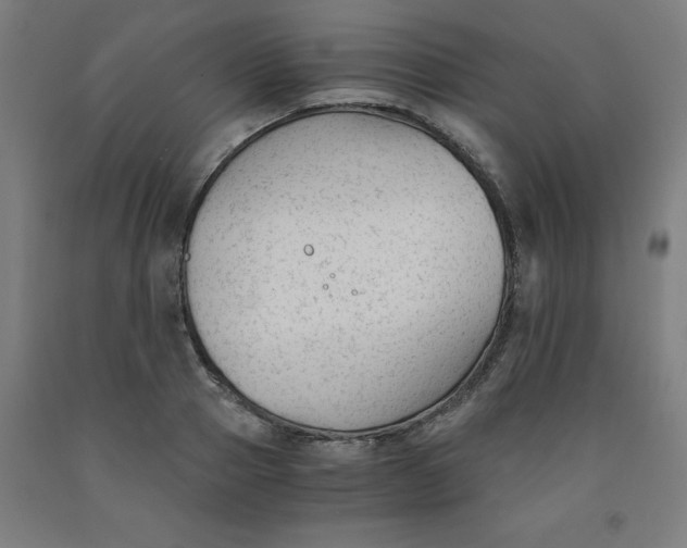 X0000091920937200709261639