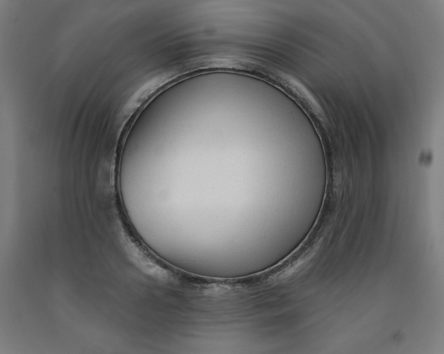 X0000091920938200709261639