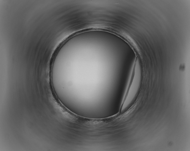 X0000091920939200709261639