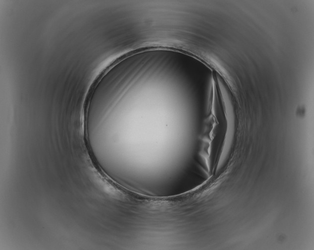 X0000091920940200709261639