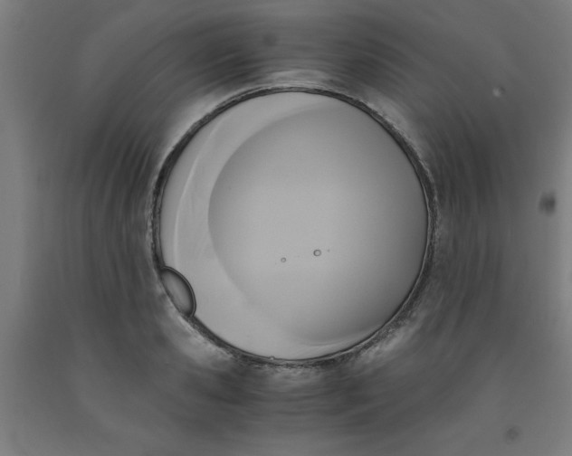 X0000091920941200709261639