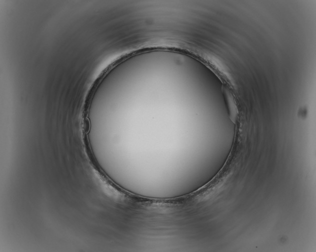 X0000091920942200709261639