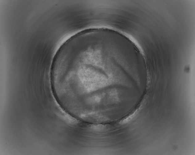 X0000091920943200709261639