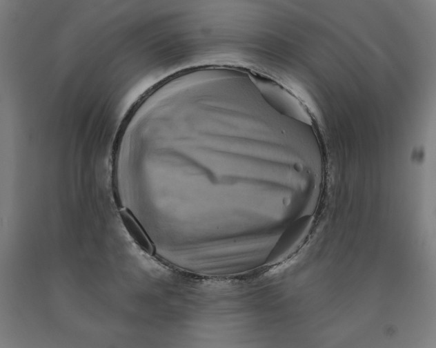 X0000091920944200709261639