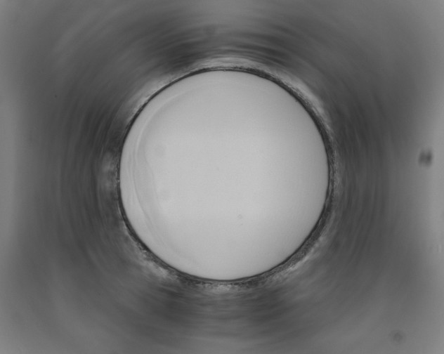 X0000091920945200709261639