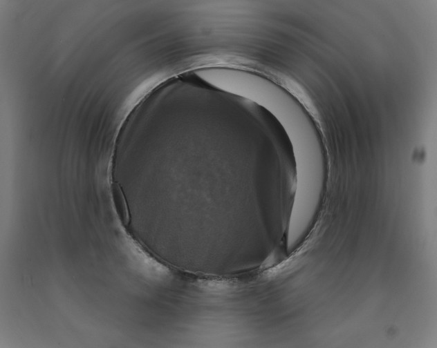 X0000091920946200709261639