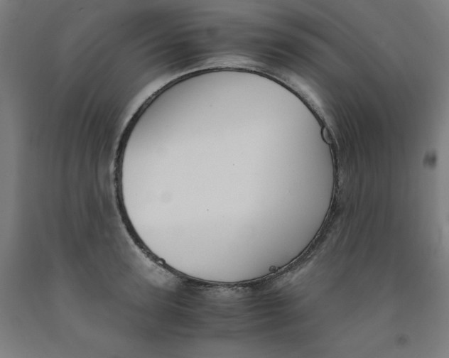 X0000091920947200709261639