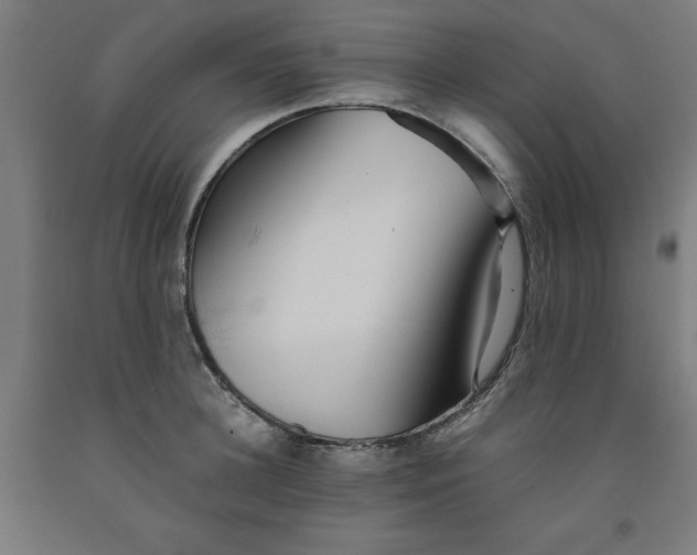 X0000091920948200709261639