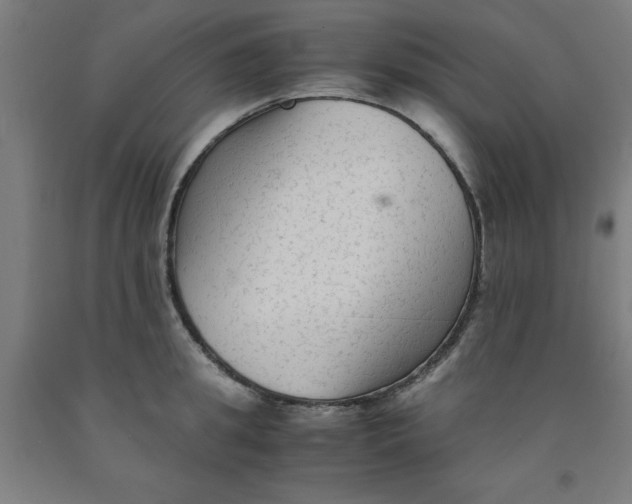 X0000091920949200709261639