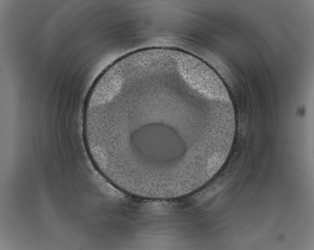 X0000091920950200709261639