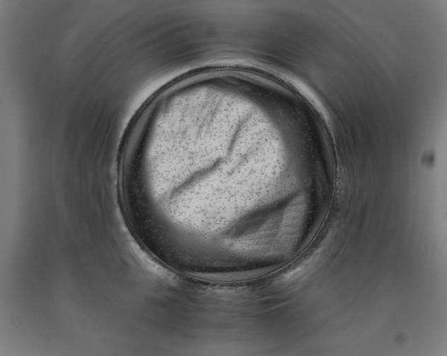 X0000091920951200709261639