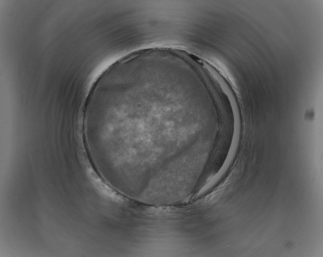 X0000091920952200709261639