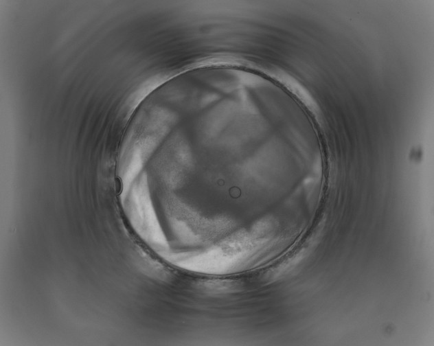 X0000091920953200709261639