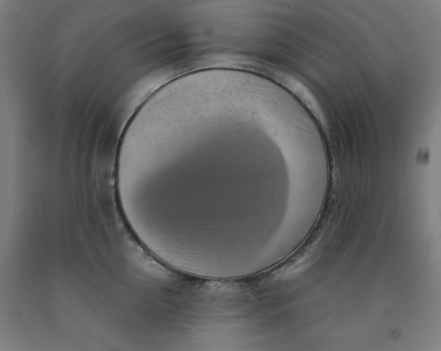 X0000091920954200709261639